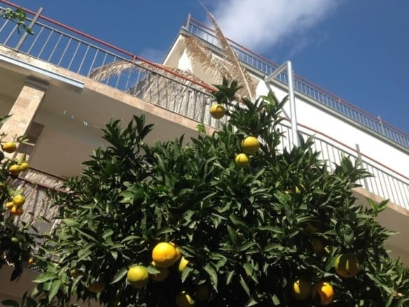 House for sale in Montenegro, Kruce